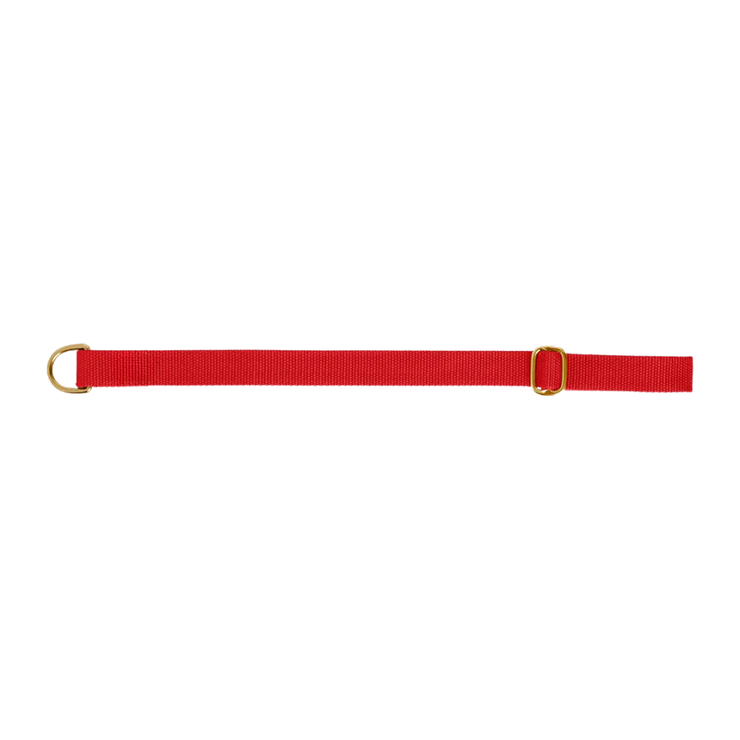 Dog collar preview