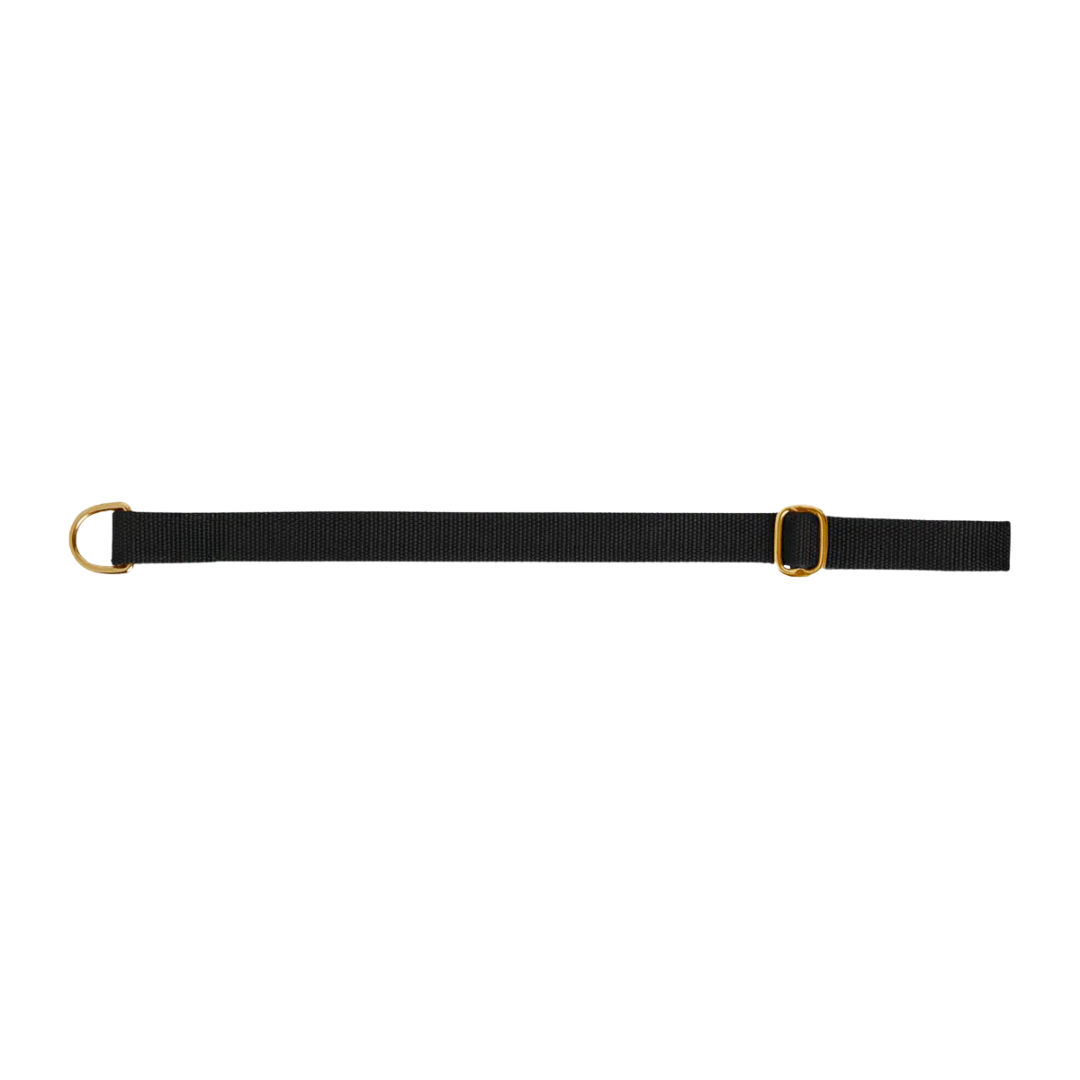 Dog collar preview