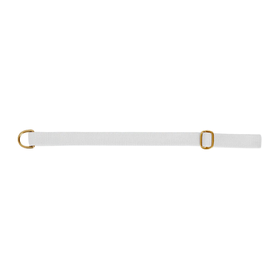 Dog collar preview