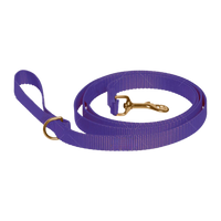 Royal Purple Leash