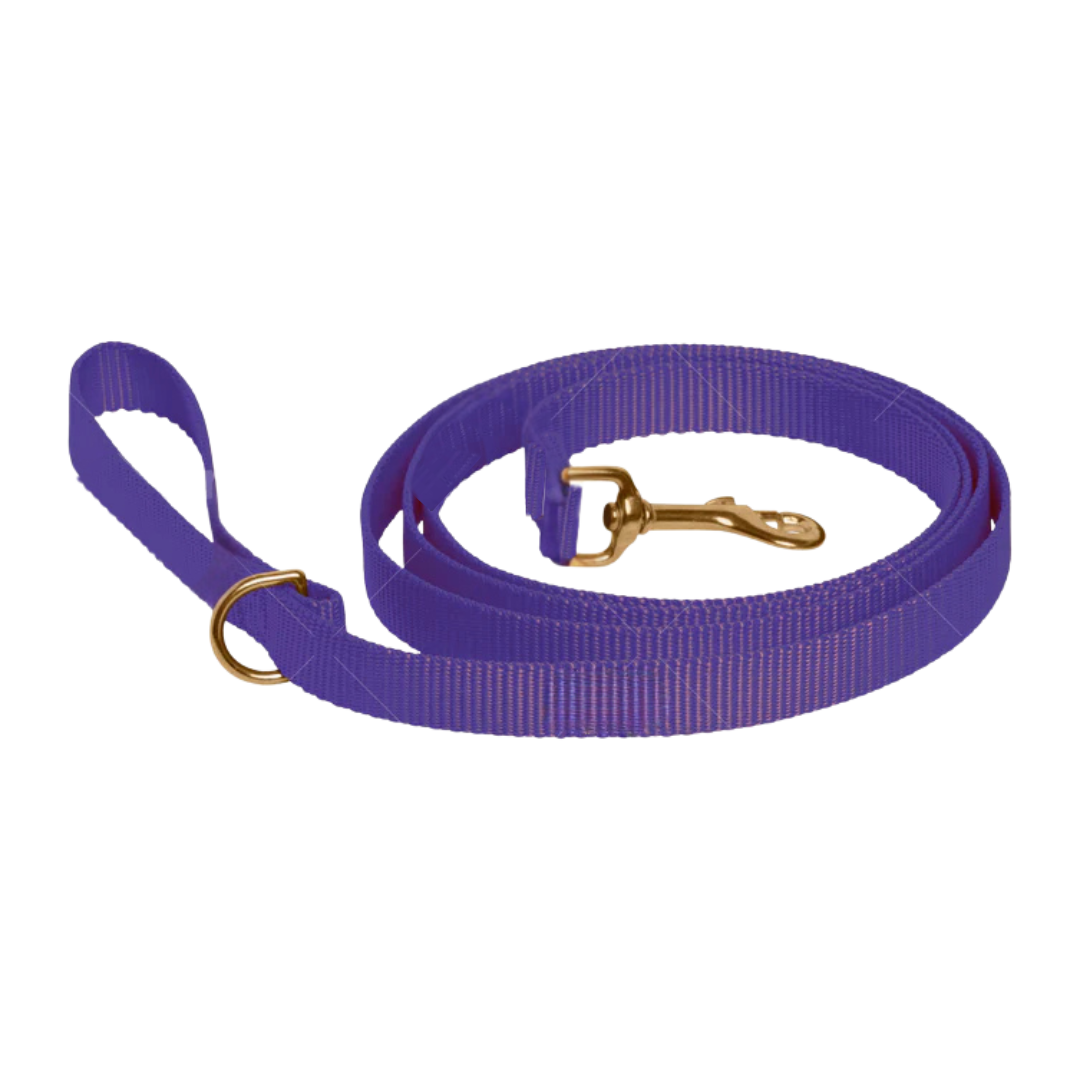 Royal Purple Leash