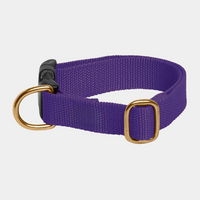 Royal Purple Collar