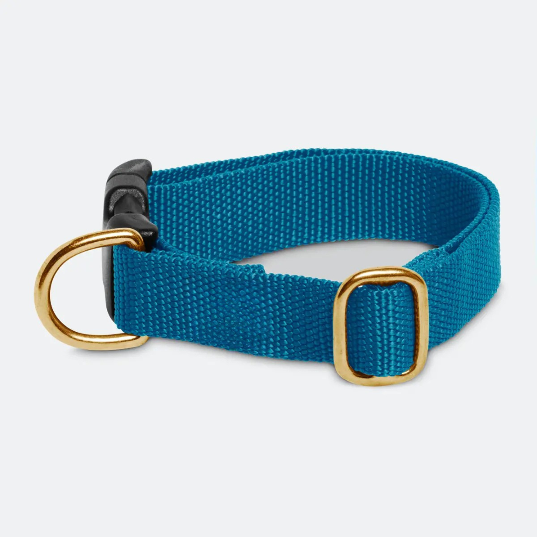 Ocean Blue Collar