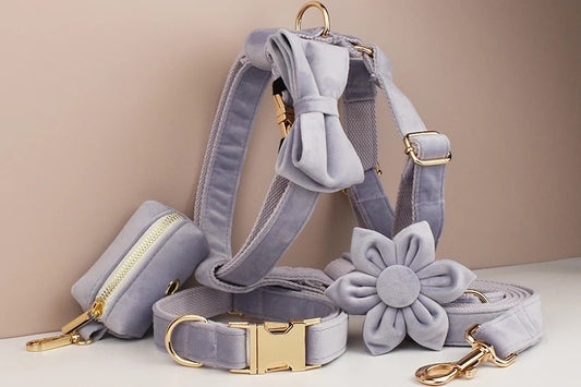 Luxury Dog Harness Set - Pastel Lavender