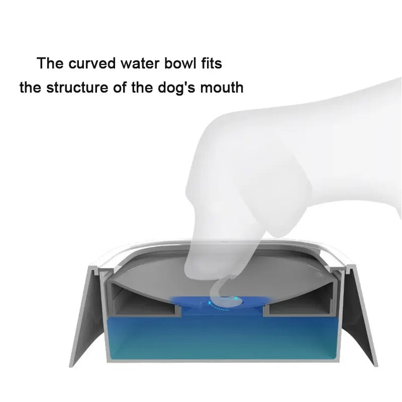 The Zero Splash Water Bowl - Zeyessentials