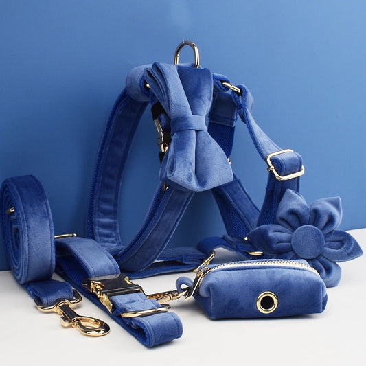 Luxury Dog Harness Set - Royal Blue