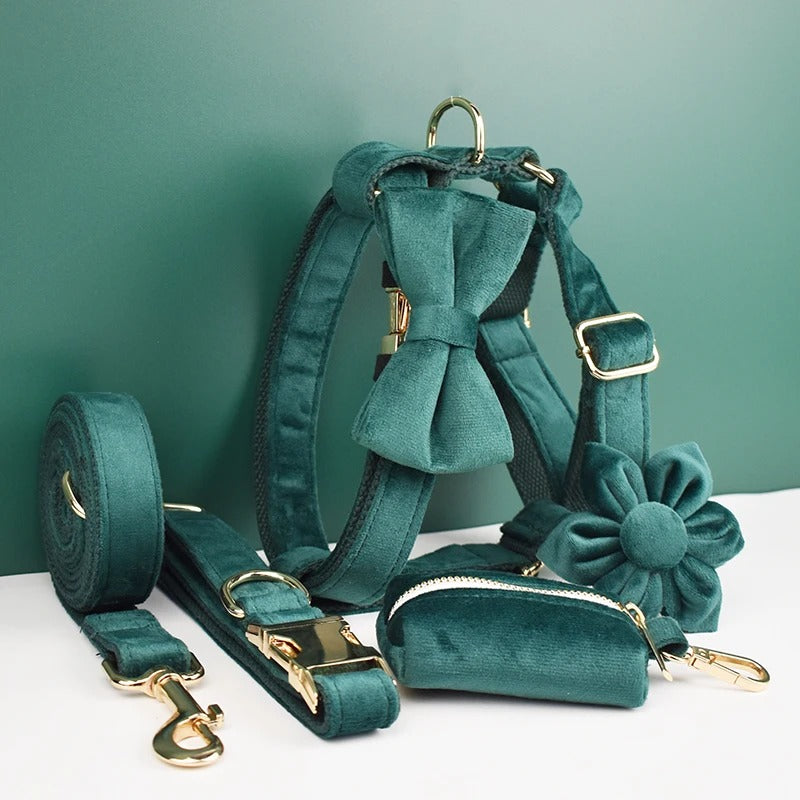 Luxury Dog Harness Set - Emerald Green