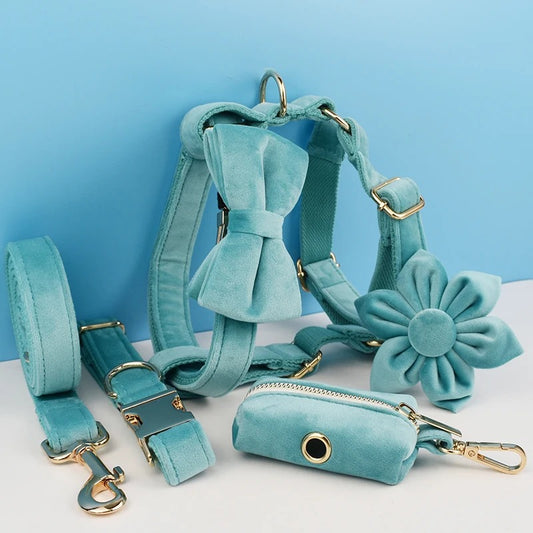 Luxe Hondenharnas Set - Turquoise