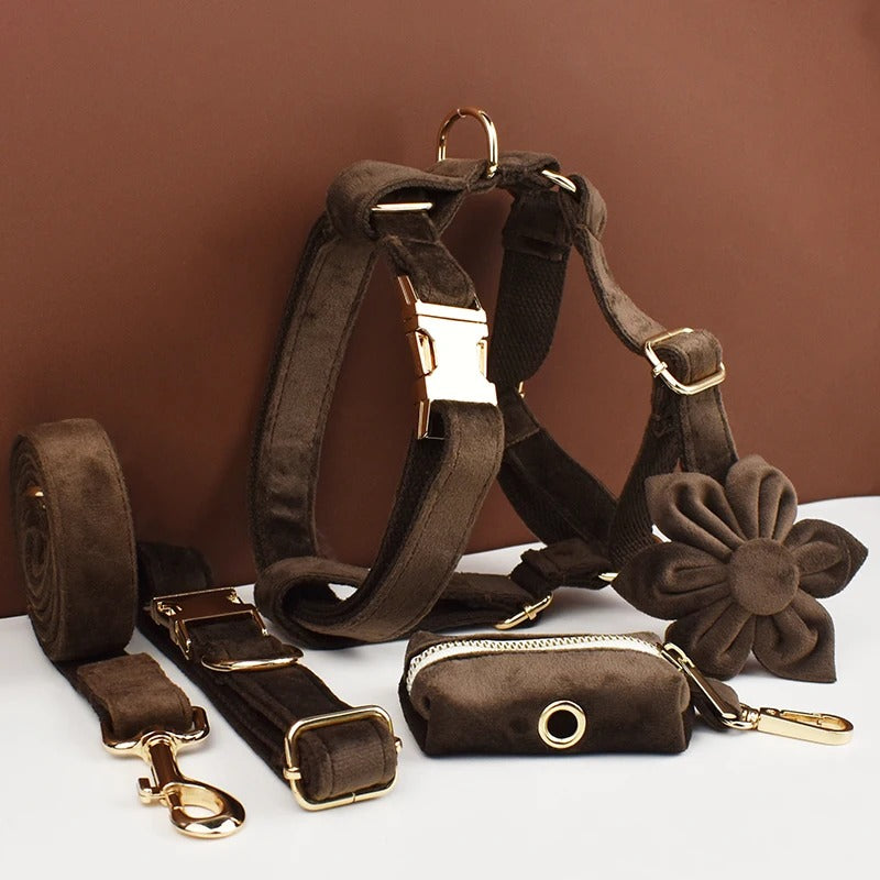 Luxury Dog Harness Set - Deep Brown