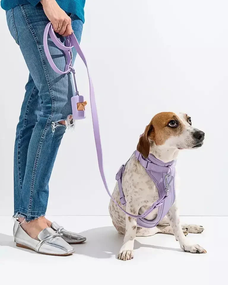 4 in 1 High Quality Dog Harness And Leash Set - Waterproof PVC