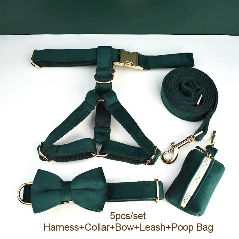 Luxury Dog Harness Set - Emerald Green