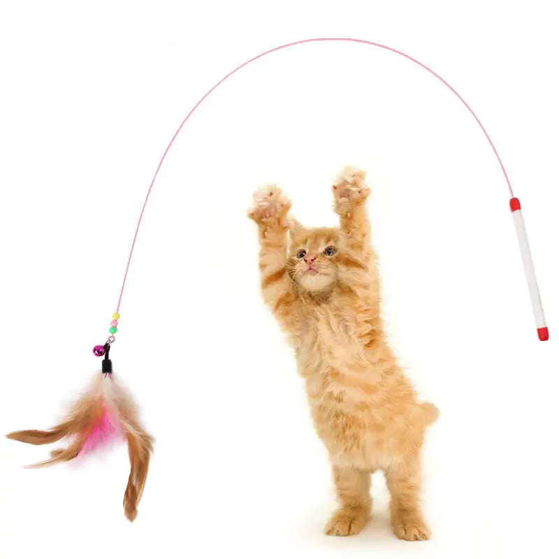 Feathers Tease Cat Toy